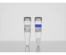 Load image into Gallery viewer, 3-D Life RGD Peptide (1 µmol), hydrogel cell-adhesion peptide, cat. no. 09-P-001, manufactured by Cellendes GmbH and distributed by Ilex Life Sciences LLC.