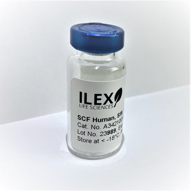 Ilex Life Sciences Stem Cell Factor (SCF) Human, Sf9 Recombinant Protein