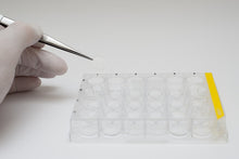 Load image into Gallery viewer, Gelacell™ - PLLA scaffolds in 24-well plate for 3D cell culture, manufactured by Gelatex Technologies and distributed by Ilex Life Sciences.