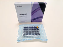 Load image into Gallery viewer, Gelacell™ - PLLA scaffolds in 24-well plate for 3D cell culture, manufactured by Gelatex Technologies and distributed by Ilex Life Sciences.