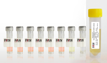 Load image into Gallery viewer, Endopan 300SL Supplement pack plus Serum Supplement. Pan-Biotech. Catalog number P04-0065S