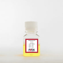 Load image into Gallery viewer, PAN-Biotech Amphotericin B (Fungizone), 250 µg/ml, cat. no. P06-01050, 50 ml bottle, distributed by Ilex Life Sciences LLC
