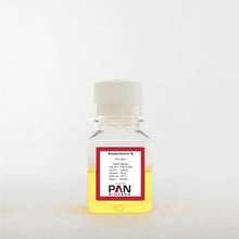Load image into Gallery viewer, PAN-Biotech Amphotericin B (Fungizone), 250 µg/ml, cat. no. P06-01050, 50 ml bottle, distributed by Ilex Life Sciences LLC