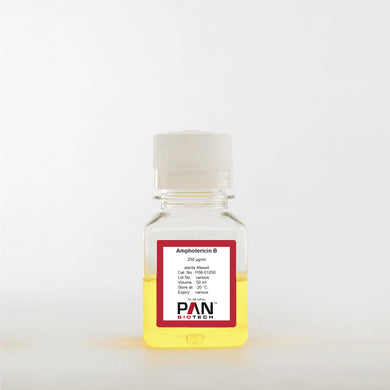 PAN-Biotech Amphotericin B (Fungizone), 250 µg/ml, cat. no. P06-01050, 50 ml bottle, distributed by Ilex Life Sciences LLC