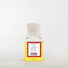 Load image into Gallery viewer, PAN-Biotech Amphotericin B (Fungizone), 250 µg/ml, cat. no. P06-01100, 100 ml bottle, distributed by Ilex Life Sciences LLC