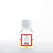 Load image into Gallery viewer, PAN-Biotech Gentamicin Sulfate Solution, 10 mg/ml, 50 ml bottle, cat. no. P06-03050, distributed by Ilex Life Sciences.