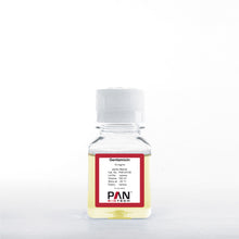 Load image into Gallery viewer, PAN-Biotech Gentamicin Sulfate Solution, 10 mg/ml, 100 ml bottle, cat. no. P06-03100, distributed by Ilex Life Sciences.
