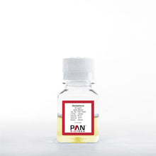 Load image into Gallery viewer, PAN-Biotech Gentamicin Sulfate Solution, 50 mg/ml, 50 ml bottle, cat. no. P06-13050, distributed by Ilex Life Sciences.
