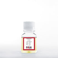 Load image into Gallery viewer, PAN-Biotech Gentamicin Sulfate Solution, 50 mg/ml, 100 ml bottle, cat. no. P06-13100, distributed by Ilex Life Sciences.