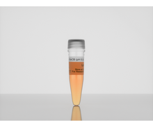 Load image into Gallery viewer, 3-D Life 10x CB-Buffer (pH 5.5), hydrogel accessory, cat. no. B10-3, manufactured by Cellendes GmbH and distributed by Ilex Life Sciences LLC.