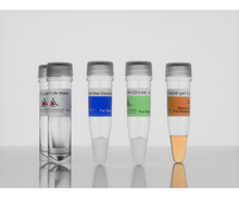 Load image into Gallery viewer, 3-D Life Dextran-CD Hydrogel FG Kit. cat. no. FG91-1, manufactured by Cellendes GmbH and distributed by Ilex Life Sciences LLC.