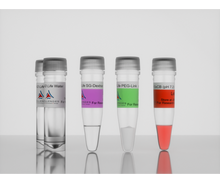 Load image into Gallery viewer, 3-D Life Dextran-PEG Hydrogel SG Kit, cat. no. G92-1, manufactured by Cellendes GmbH and distributed by Ilex Life Sciences LLC.