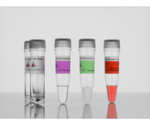 Load image into Gallery viewer, 3-D Life Dextran-CD Hydrogel SG Kit, cat. no. G93-1, manufactured by Cellendes GmbH and distributed by Ilex Life Sciences LLC.