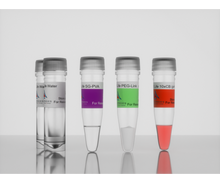 Load image into Gallery viewer, 3-D Life PVA-PEG Hydrogel SG Kit, cat. no. G82-1 manufactured by Cellendes GmbH and distributed by Ilex Life Sciences LLC.