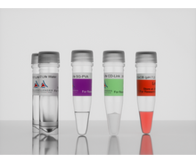Load image into Gallery viewer, 3-D Life PVA-CD Hydrogel SG Kit, cat. no. G83-1, manufactured by Cellendes GmbH and distributed by Ilex Life Sciences LLC.