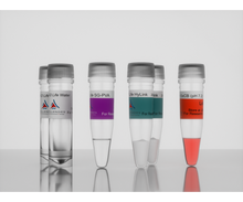 Load image into Gallery viewer, 3-D Life PVA-HA Hydrogel Kit, cat. no. G85-1, manufactured by Cellendes GmbH and distributed by Ilex Life Sciences LLC.