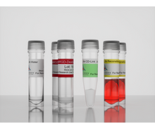 Load image into Gallery viewer, 3-D Life ToGro Hydrogel Kit, Ready-To-Go Hydrogel Kit, Cat. No. G94-1, manufactured by Cellendes GmbH and distributed by Ilex Life Sciences LLC.