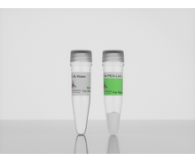 Load image into Gallery viewer, 3-D Life PEG-Link (200 µl) Hydrogel Component, cat. no. L50-1, manufactured by Cellendes GmbH and distributed by Ilex Life Sciences LLC.