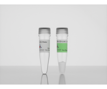 Load image into Gallery viewer, 3-D Life CD-Link (200 µl) Hydrogel Component, Cat. No. L60-1, manufactured by Cellendes GmbH and distributed by Ilex Life Sciences LLC.