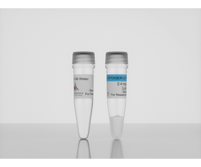 Load image into Gallery viewer, 3-D Life GFOGER-3 Peptide, 2.4 mg, cat. no. P12-1, manufactured by Cellendes GmbH and distributed by Ilex Life Sciences LLC.