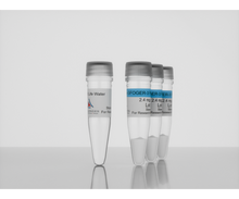 Load image into Gallery viewer, 3-D Life GFOGER-3 Peptide, 3 x 2.4 mg, cat. no. P12-3, manufactured by Cellendes GmbH and distributed by Ilex Life Sciences LLC.