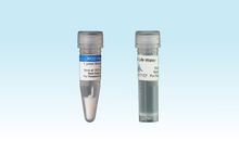 Load image into Gallery viewer, 3-D Life RGD Peptide (1 µmol)