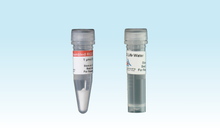 Load image into Gallery viewer, 3-D Life Scrambled RGD Peptide (1 µmol)