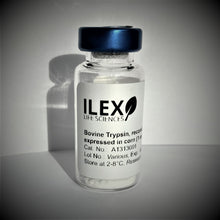 Load image into Gallery viewer, Bovine Trypsin, recombinant, expressed in corn, lyophilized powder (1 mg) - Cat. No. A1313001