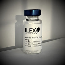 Load image into Gallery viewer, Porcine Trypsin, E. coli recombinant, lyophilized powder (1 mg) - Cat. No. A1787010