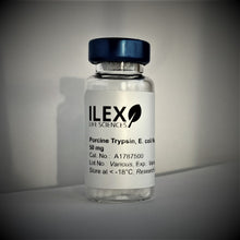 Load image into Gallery viewer, Porcine Trypsin, E. coli recombinant, lyophilized powder (50 mg) - Cat. No. A1787500