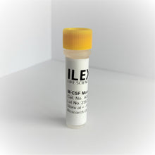 Load image into Gallery viewer, Macrophage Colony-Stimulating Factor 1 (M-CSF) Mouse, E. coli Recombinant Protein, lyophilized vial