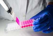 Load image into Gallery viewer, Biocolor Cell-APOPercentage™ Apoptosis Assay: pink dye in microwell plate