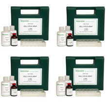 Load image into Gallery viewer, Cell-Clock™ Large Economy Kit (400 assays)