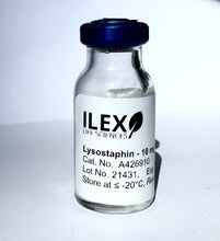 Load image into Gallery viewer, Ilex Life Sciences Lysostaphin, E. coli Recombinant Protein, 10 mg