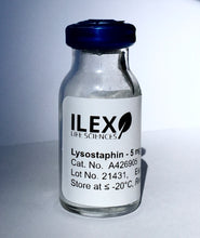 Load image into Gallery viewer, Ilex Life Sciences Lysostaphin, E. coli Recombinant Protein, 5 mg