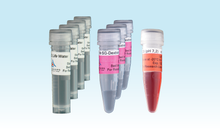 Load image into Gallery viewer, 3-D Life SG-Dextran Hydrogel Component