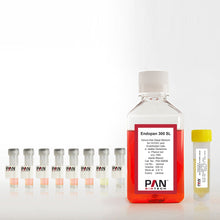 Load image into Gallery viewer, PAN-Biotech Endopan 300 SL Kit: Serum-free medium for HUVEC and endothelial cells
