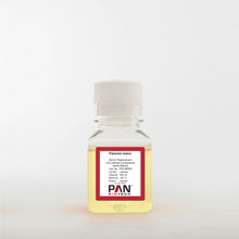 Load image into Gallery viewer, PAN-Biotech Panexin Basic, Serum Replacement with Defined Components (100 ml)