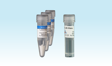 Load image into Gallery viewer, 3-D Life RGD Peptide (3x 1 µmol)