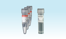 Load image into Gallery viewer, 3-D Life Scrambled RGD Peptide (3x 1 µmol)