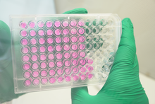 Load image into Gallery viewer, Ossiform P3D Scaffolds in 96-well plate