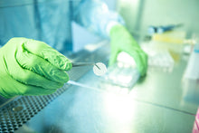 Load image into Gallery viewer, Ossiform P3D Scaffolds: bone-like 3D cell culture systems