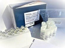 Load image into Gallery viewer, QZBHYPRO5: QuickZyme Hydroxyproline Assay Kit for collagen analysis (5 x 96 wells)