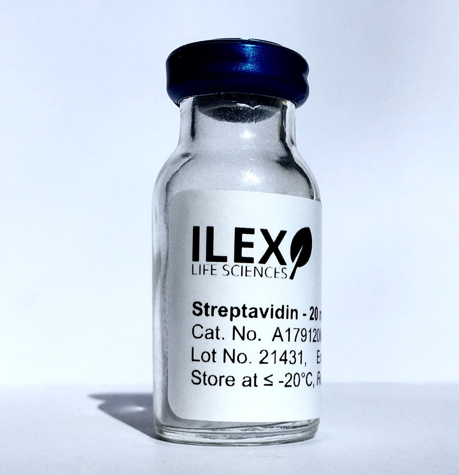 Streptavidin, E. coli Recombinant Protein, 20 mg