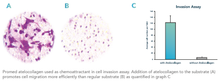 Load image into Gallery viewer, Promed Bioscience Atelocollagen used as chemoattractant in cell invasion assay