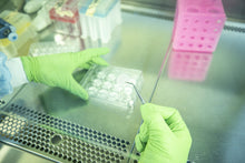 Load image into Gallery viewer, Placing the Ossiform P3D Scaffold into a 12-well cell culture plate