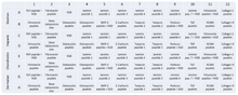 Load image into Gallery viewer, screenMATRIX - biomatrix screening tool for cell cultures