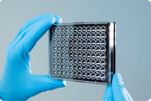 Load image into Gallery viewer, screenMATRIX - biomatrix screening tool for cell cultures