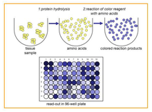Load image into Gallery viewer, QuickZyme Total Protein Assay principle