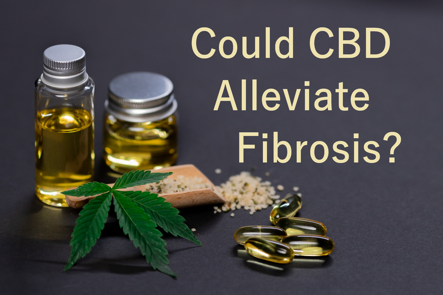 Could CBD Alleviate Fibrosis?